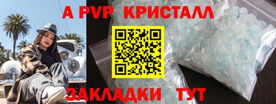 спиды Донской