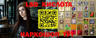 спиды Донской
