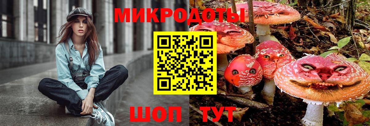 Галлюциногенные грибы Psilocybe  Вход с VPN  Малгобек 